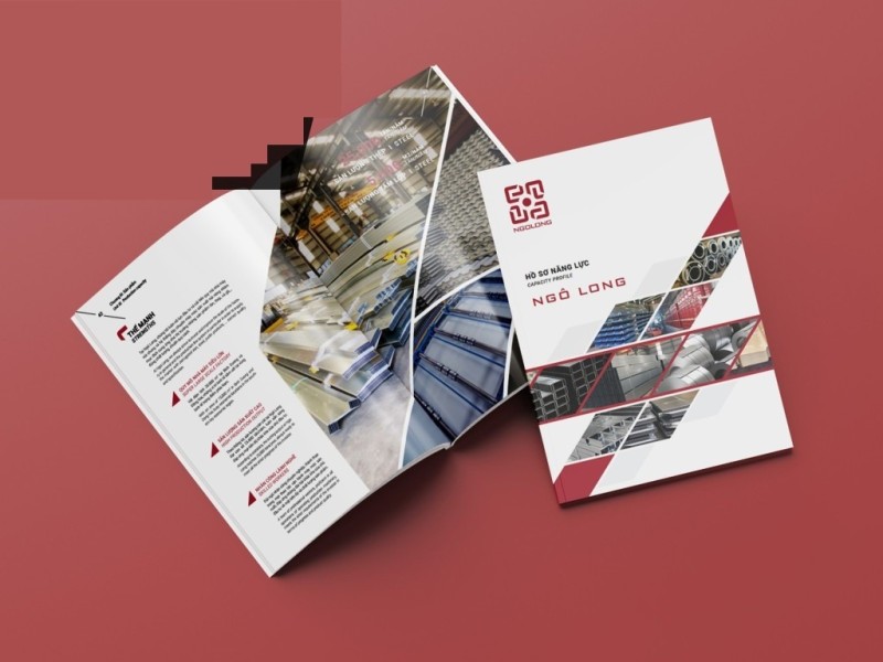 CÔNG TY CỔ PHẦN NGÔ LONG