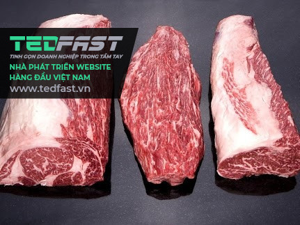 Tầm nhìn - Sứ mệnh tham khảo dành cho công ty chuyên nhập khẩu và phân phối các thực phẩm thịt chất lượng - Công ty thương mại quốc tế tổng hợp PTP
