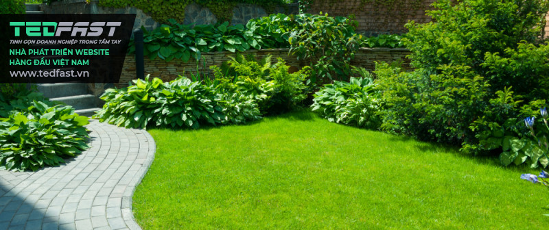 Hình ảnh một vườn cỏ xanh ngát